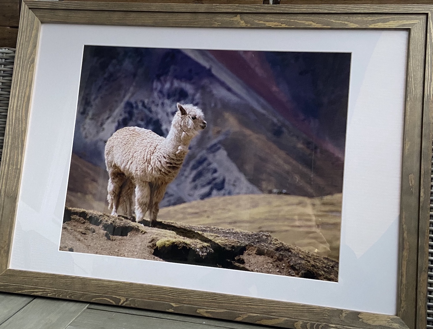 artigall: Alpaca Kunstwerk Detailansicht